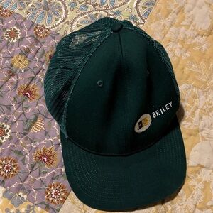 Briley Green Mesh Cap